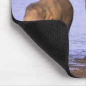 Tapis De Souris Inde, Parc national de Nagarhole. éléphant asiatiq (Coin)