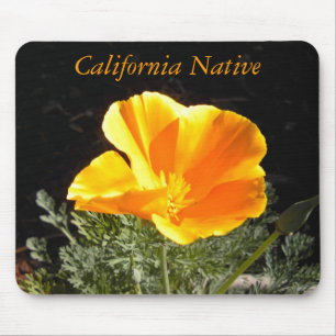 Tapis De Souris Indigène de la Californie