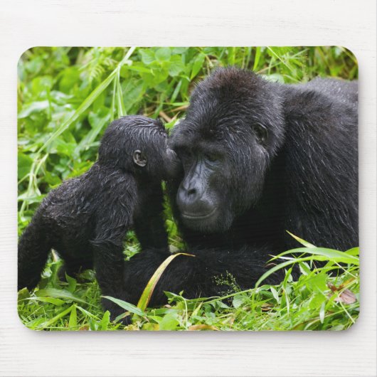 Tapis De Souris Infant Mountain Gorilla Kisses Silverback (Devant)