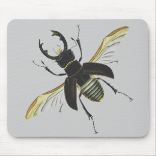Tapis De Souris Insecte