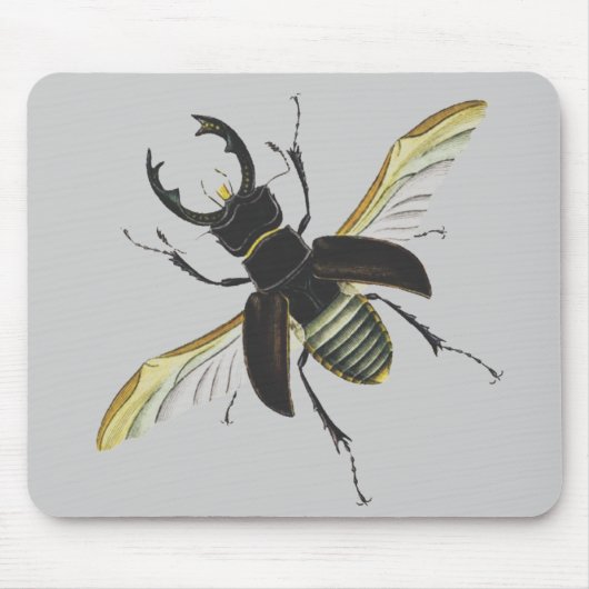 Tapis De Souris Insecte (Devant)