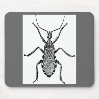 Tapis De Souris Insecte de Conenose - cru