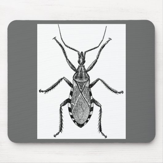 Tapis De Souris Insecte de Conenose - cru (Devant)