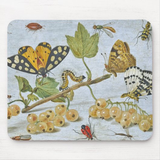 Tapis De Souris Insectes rampants (Devant)