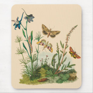 Tapis De Souris Insectes vintages de jardin, papillons, chenilles