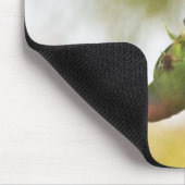 Tapis De Souris inséparable à visage pêche (Coin)