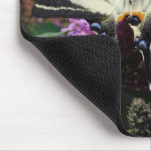 Tapis De Souris Iphiclides podalirius (Coin)