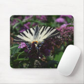 Tapis De Souris Iphiclides podalirius (Avec souris)