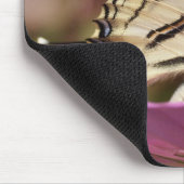 Tapis De Souris Iphiclides podalirius (Coin)