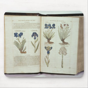 Tapis De Souris Iris