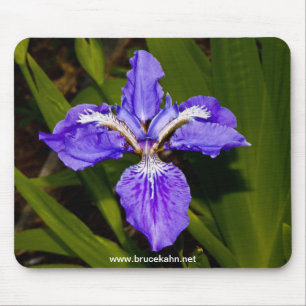 Tapis De Souris Iris
