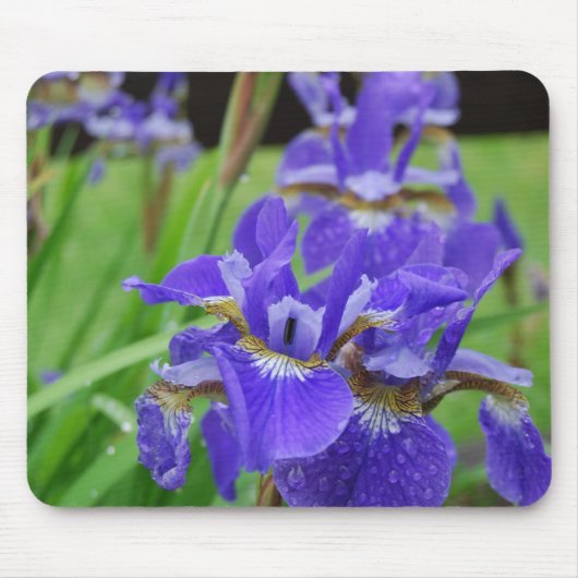 Tapis De Souris Iris dans le jardin (Devant)