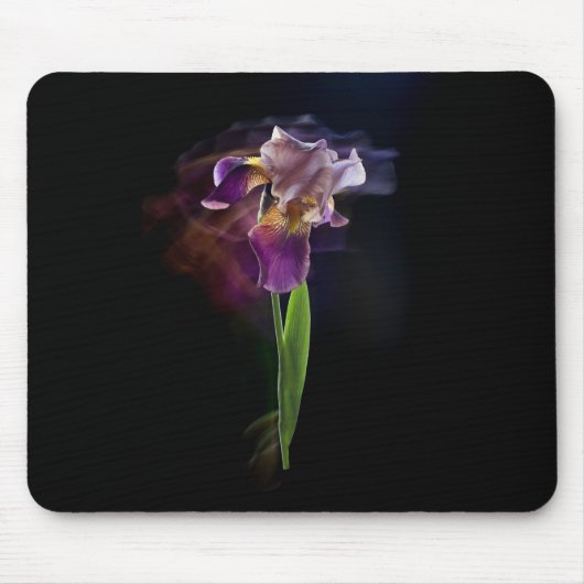 Tapis De Souris Iris flower on a black background. Long exposure. (Devant)