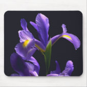 Tapis De Souris Iris impressionnant et pourpre (Devant)