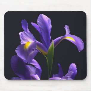 Tapis De Souris Iris impressionnant et pourpre