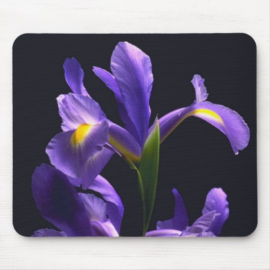 Tapis De Souris Iris impressionnant et pourpre (Devant)