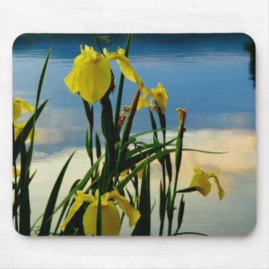 Tapis De Souris Iris jaune à Lake Shore (Devant)