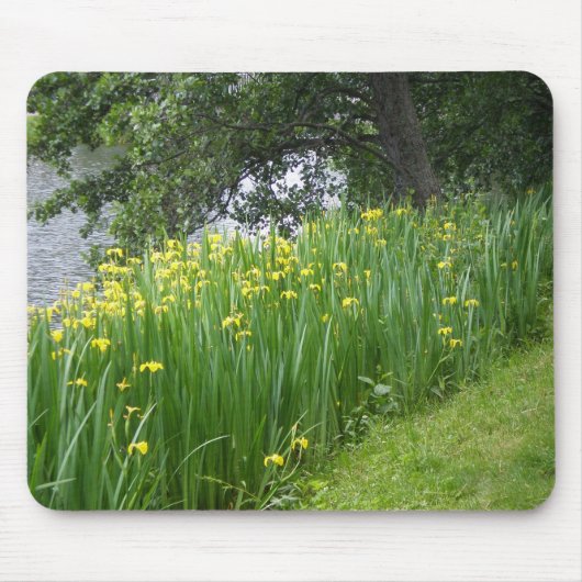 Tapis De Souris Iris jaune Mousepad (Devant)