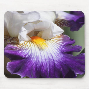 Tapis De Souris Iris mauve-foncé et blanc Mousepad