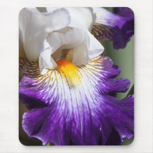 Tapis De Souris Iris mauve-foncé et blanc Mousepad (Devant)