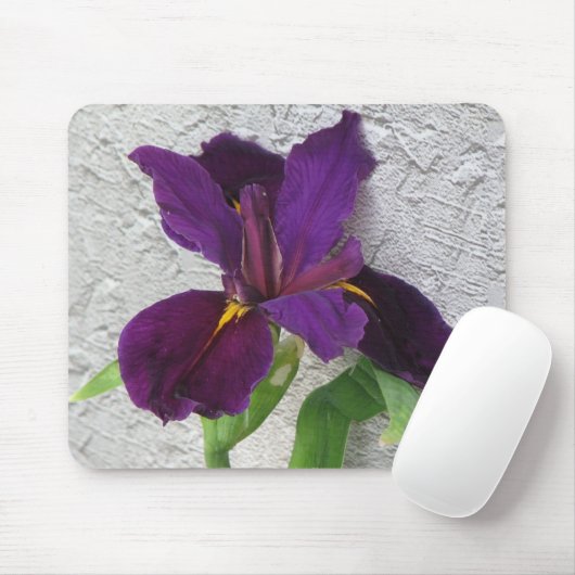Tapis De Souris Iris pourpre (Avec souris)