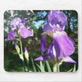 Tapis De Souris Iris pourpre Mousepad (Devant)