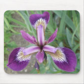Tapis De Souris Iris pourpre Mousepad (Devant)