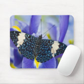 Tapis De Souris Iris Pourpre Papillon Tropical (Avec souris)