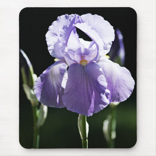 Tapis De Souris Iris Violet 8393 Mousepad (Devant)
