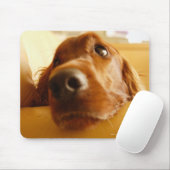 Tapis De Souris Irish Setter sur canapé (Avec souris)