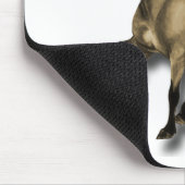 Tapis De Souris islandais vintage (Coin)