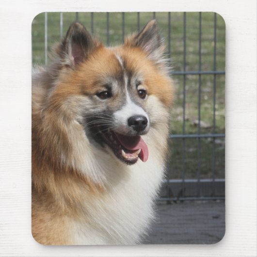 Tapis De Souris Islandhund (Devant)