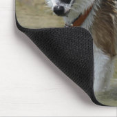 Tapis De Souris Islandhund (Coin)
