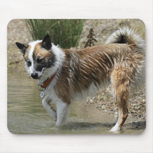 Tapis De Souris Islandhund (Devant)