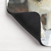 Tapis De Souris Islandhund (Coin)
