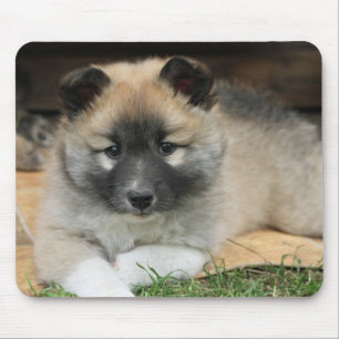 Tapis De Souris Islandhund