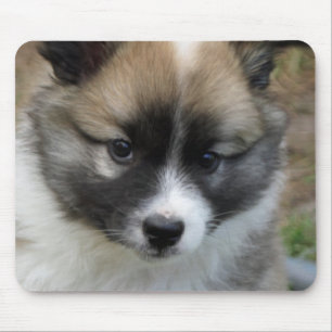 Tapis De Souris Islandhund
