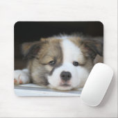 Tapis De Souris Islandhundewelpe (Avec souris)