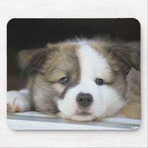 Tapis De Souris Islandhundewelpe