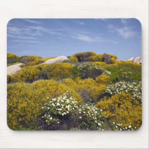 Tapis De Souris Italie, Sardaigne, Santa Teresa Gallura. Capo 3