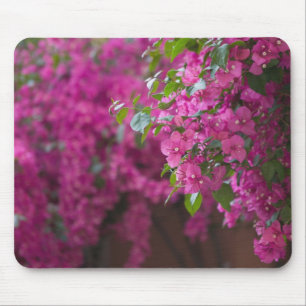 Tapis De Souris Italie, Sicile, Cefalu, Cour intérieure fleurie pa