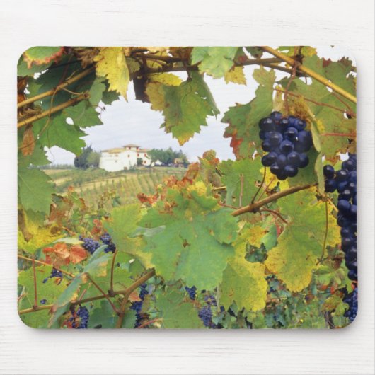 Tapis De Souris Italie, Toscane Ferme vue par (Devant)