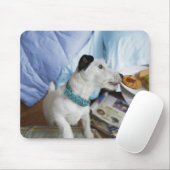 Tapis De Souris Jack russell terrier. (Avec souris)