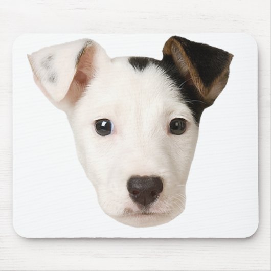 Tapis De Souris Jack Russell Terrier (Devant)