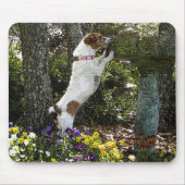 TAPIS DE SOURIS JACK RUSSELL TERRIER (Devant)