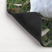 TAPIS DE SOURIS JACK RUSSELL TERRIER (Coin)