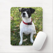 TAPIS DE SOURIS JACK RUSSELL TERRIER (Avec souris)