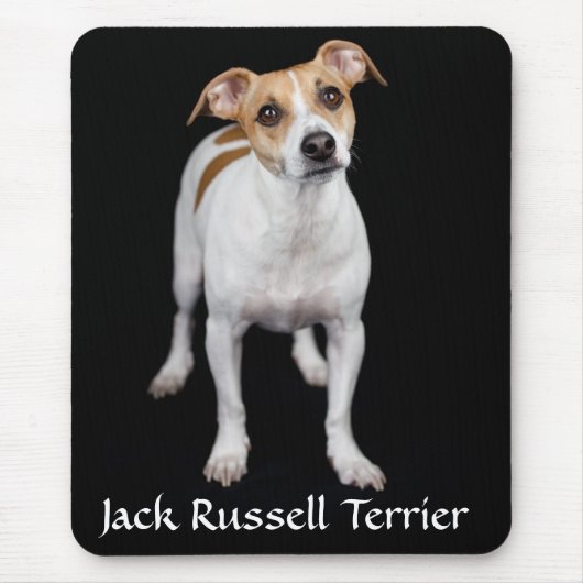 Tapis De Souris Jack Russell Terrier Portrait Mousepad (Devant)