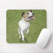 Tapis De Souris Jack russell terrier saut, vue surélevée (Avec souris)
