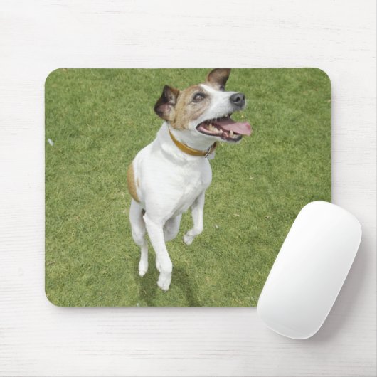 Tapis De Souris Jack russell terrier saut, vue surélevée (Avec souris)